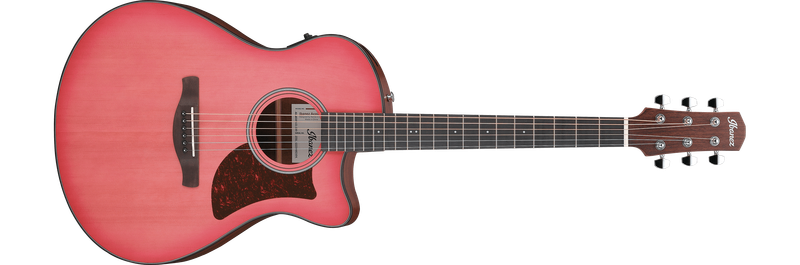 Ibanez AAM50CECRO