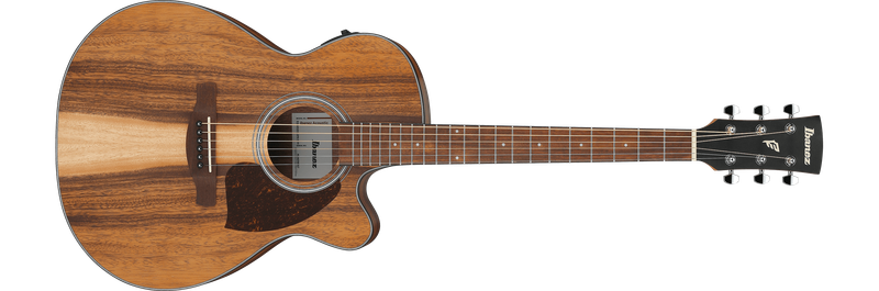 Ibanez PC50WSCEOPB