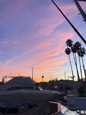Boat Life