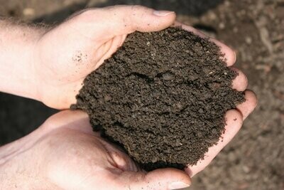 Topsoil