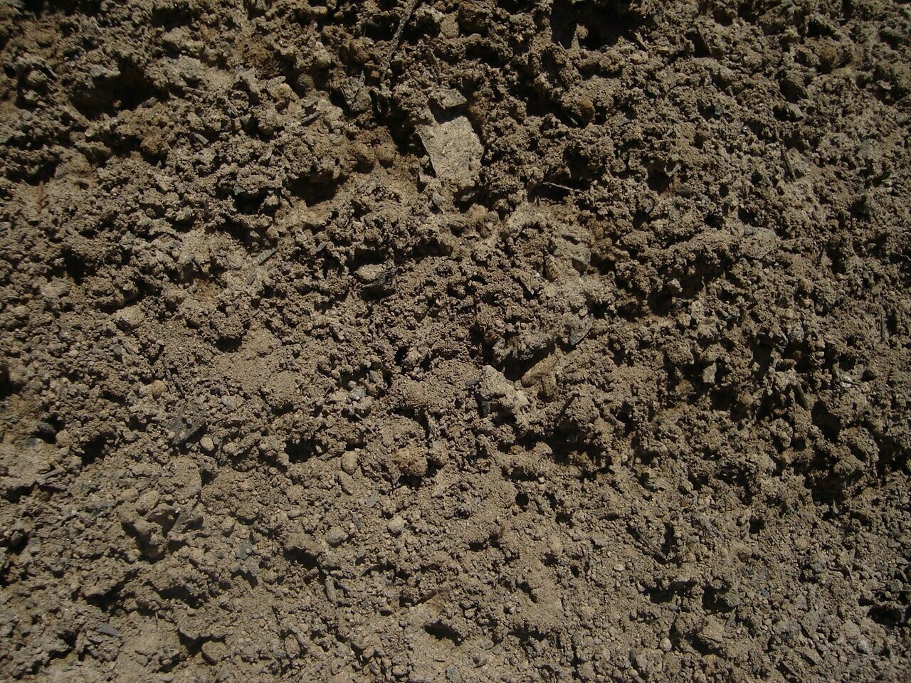Amended Topsoil Mix (50%-50%)