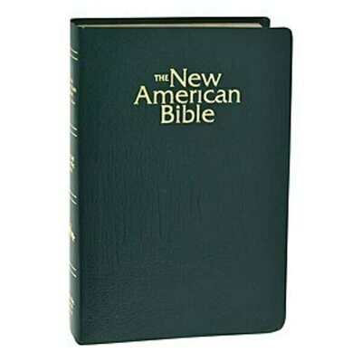 The New American Gift and Award Bible Green W2402GN