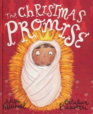 The Christmas Promise by Alison Mitchell