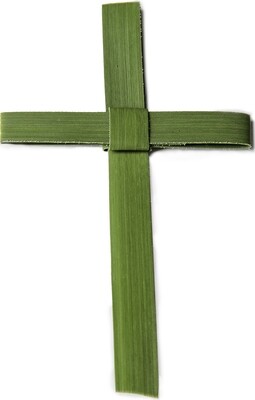 Palm Crosses (25)