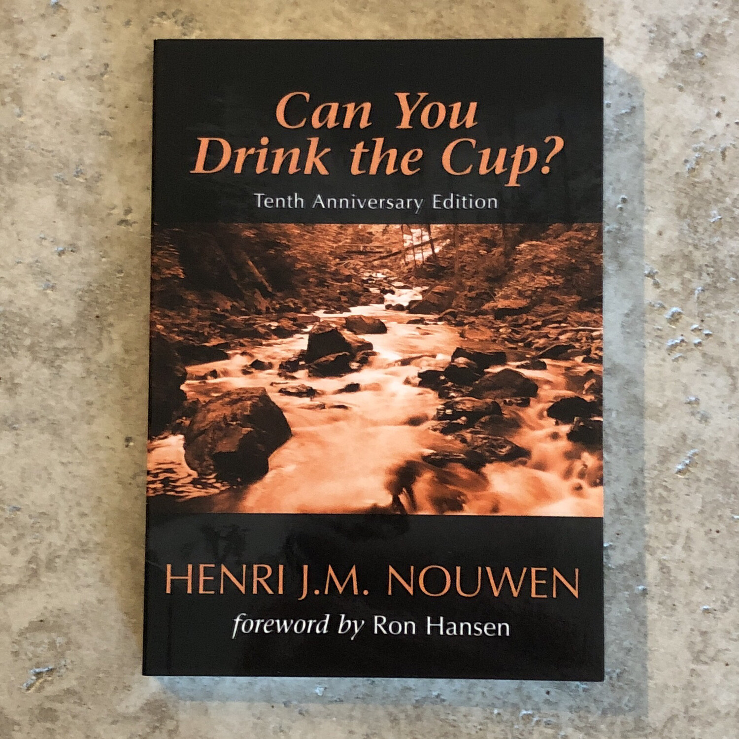 Can you drink the cup? by Henri J M Nouwen