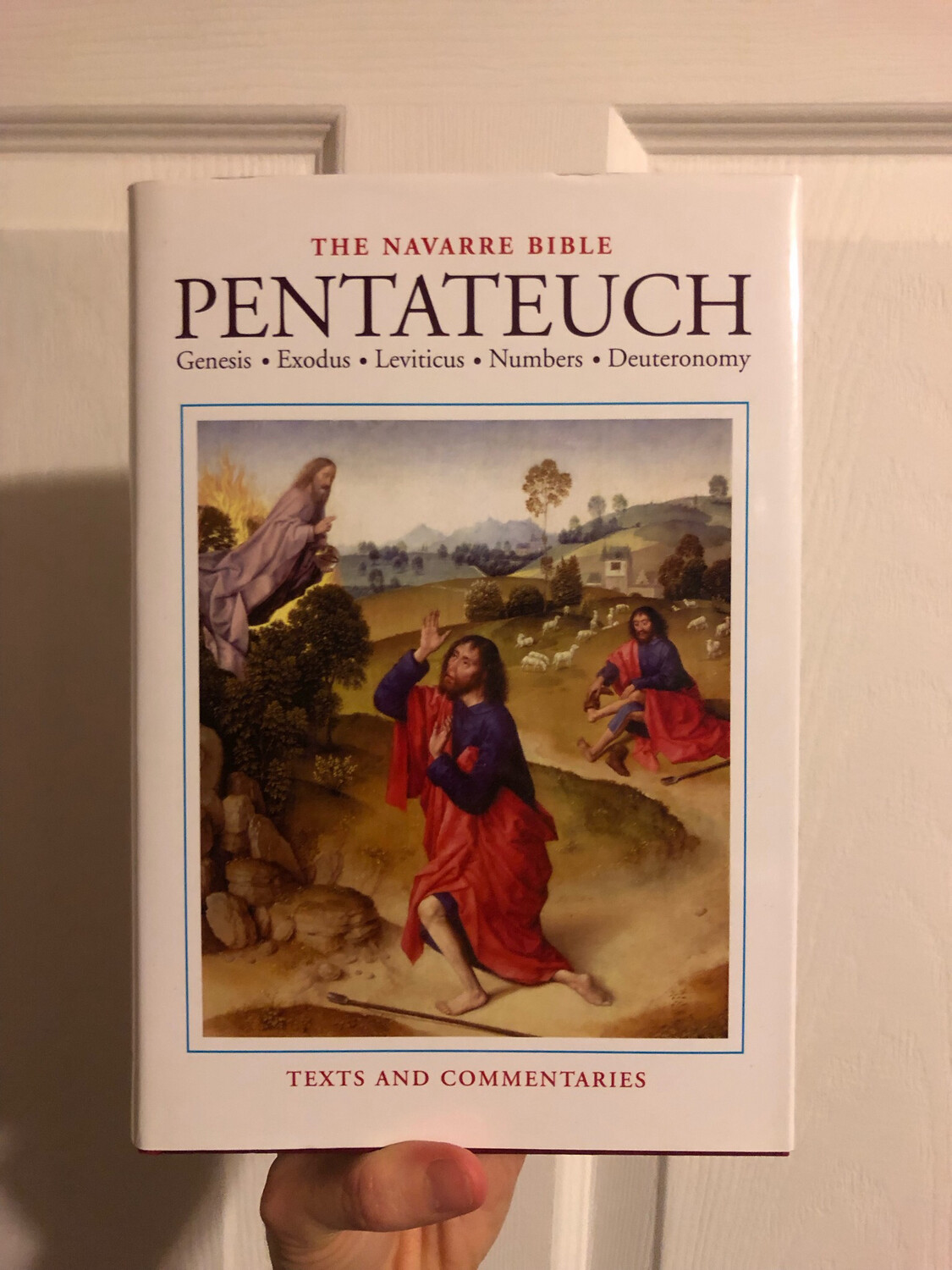 Navarre Bible: Pentateuch