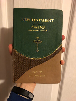 New Testament and Psalms 647/19GN