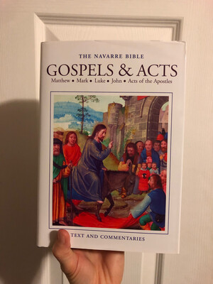 Navarre Bible: Gospels & Acts 