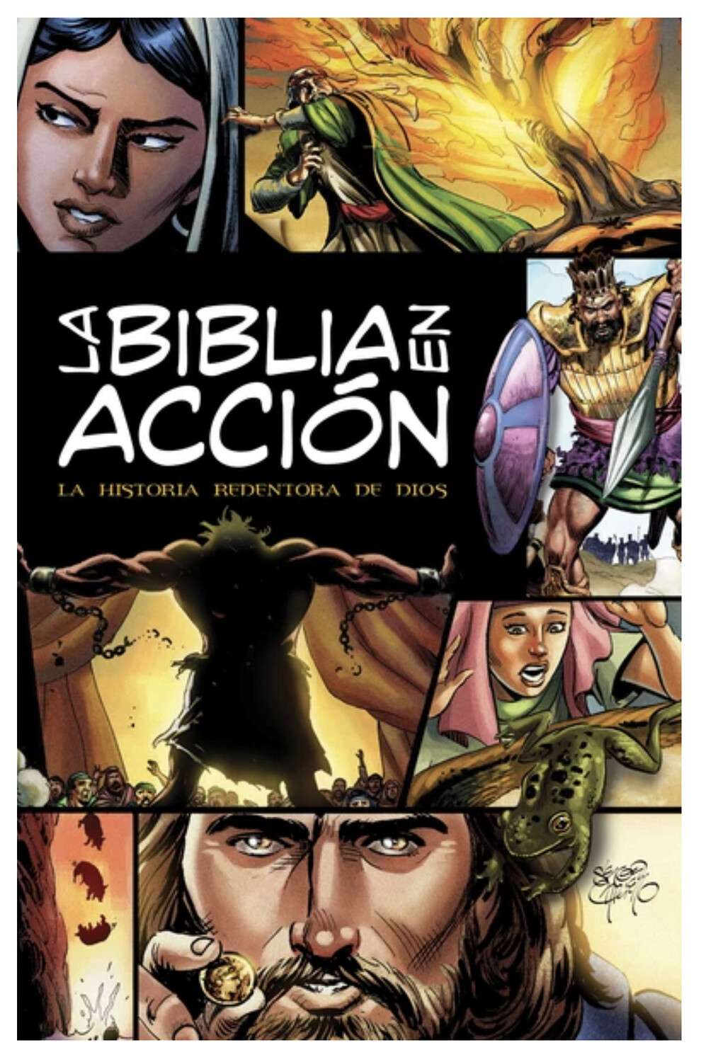 Biblia en Acción