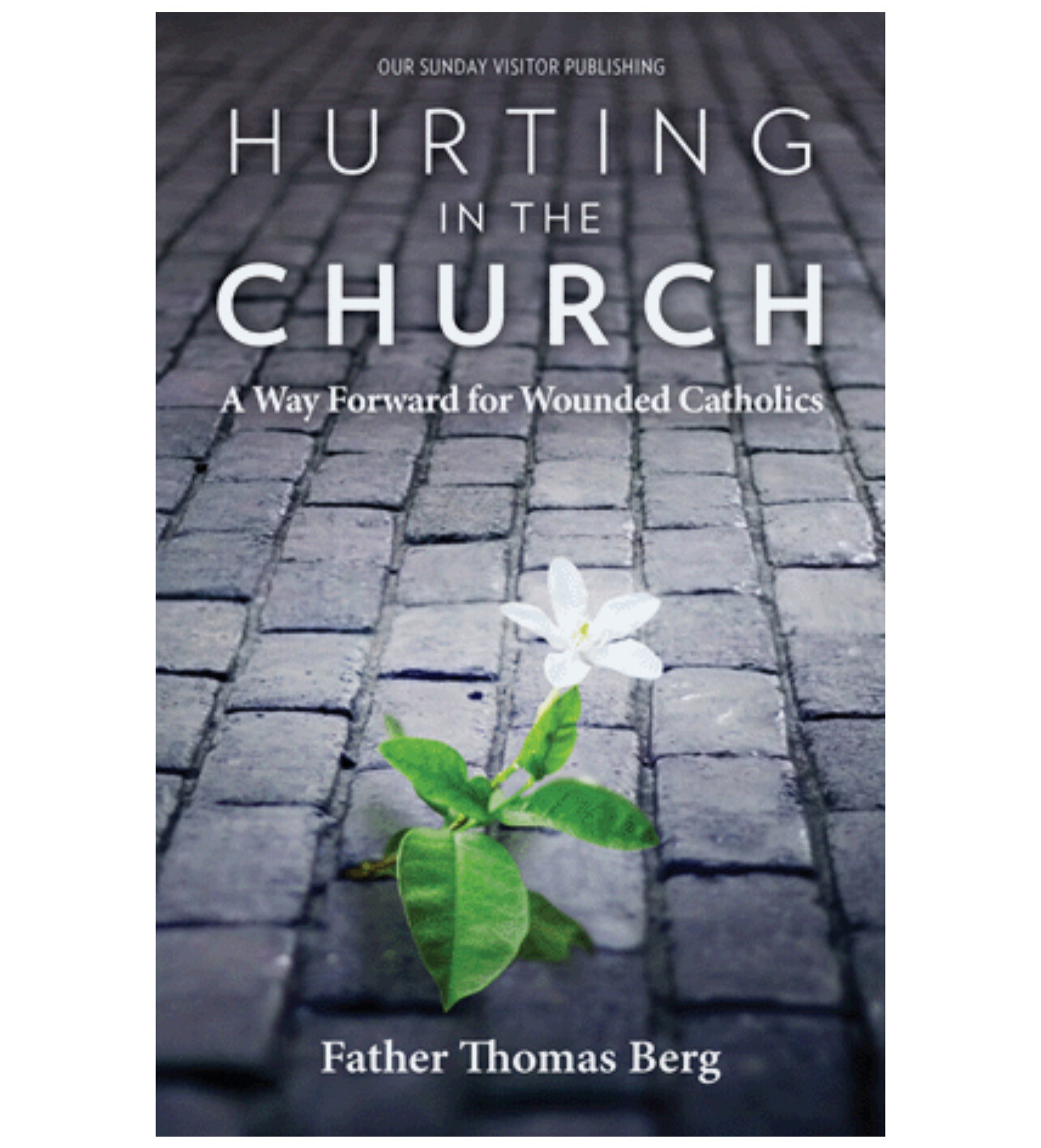Hurting in the Church: A Way Forward for Wounded Catholics