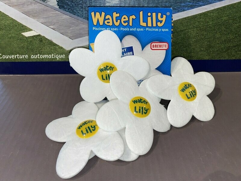 WATER LILY