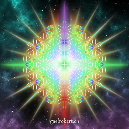 ❖ Fleur Céleste ❖