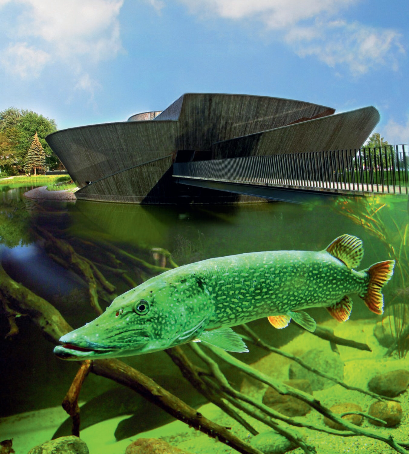 Müritzeum + 1 Stunde Schifffahrt ab/an Waren (Müritz)