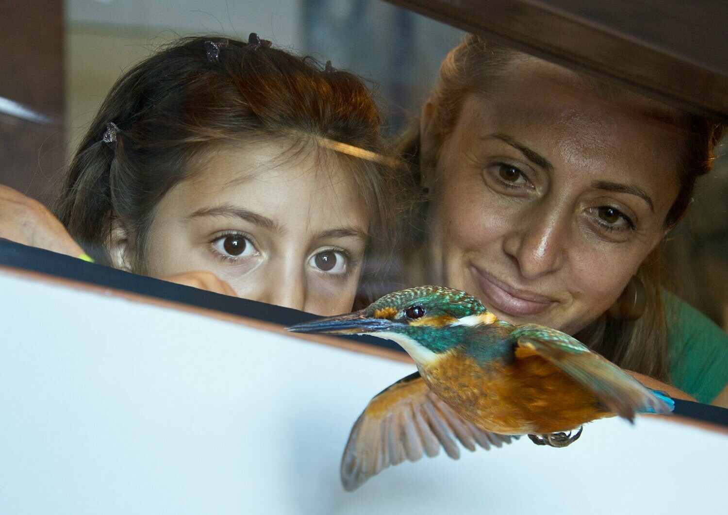 Müritzeum + 2 Stunden Schifffahrt ab/an Waren Stadthafen