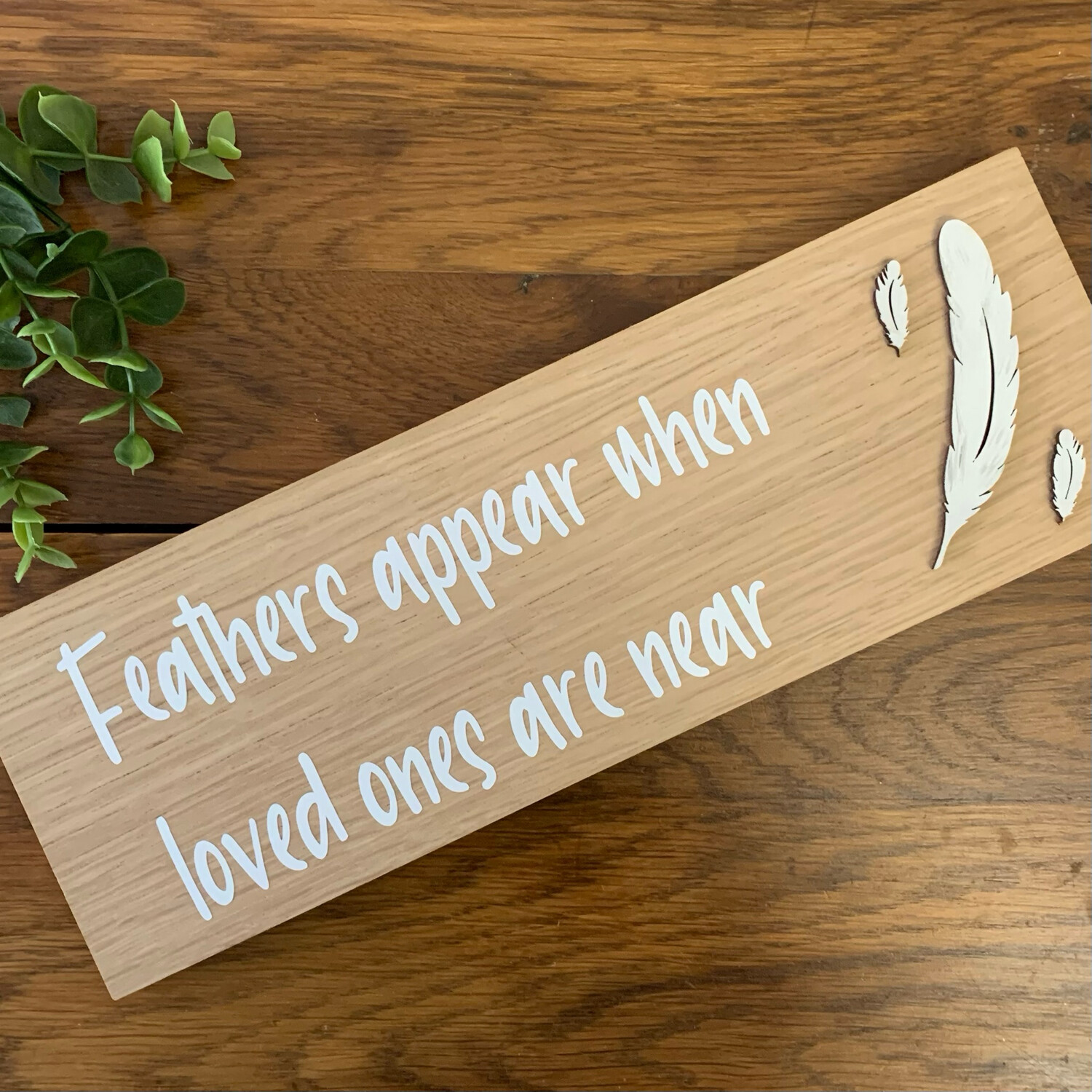 Hand-painted Feather plaque