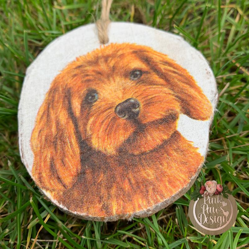 Rustic Wood Slice Decoration Cat / Dog / Toadstool