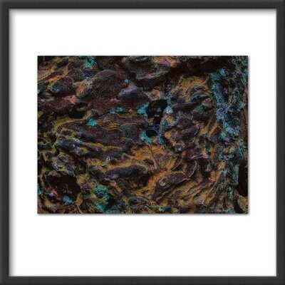 Bark abstract #1
