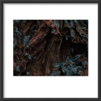 Bark abstract #6