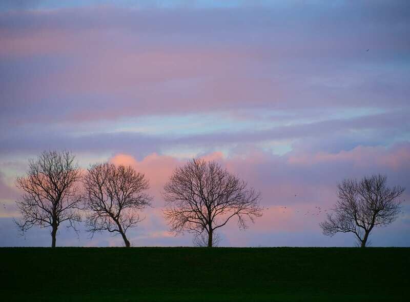Workshop Noord-Groningen "The next step"   (1 - 3 nov. 2024)