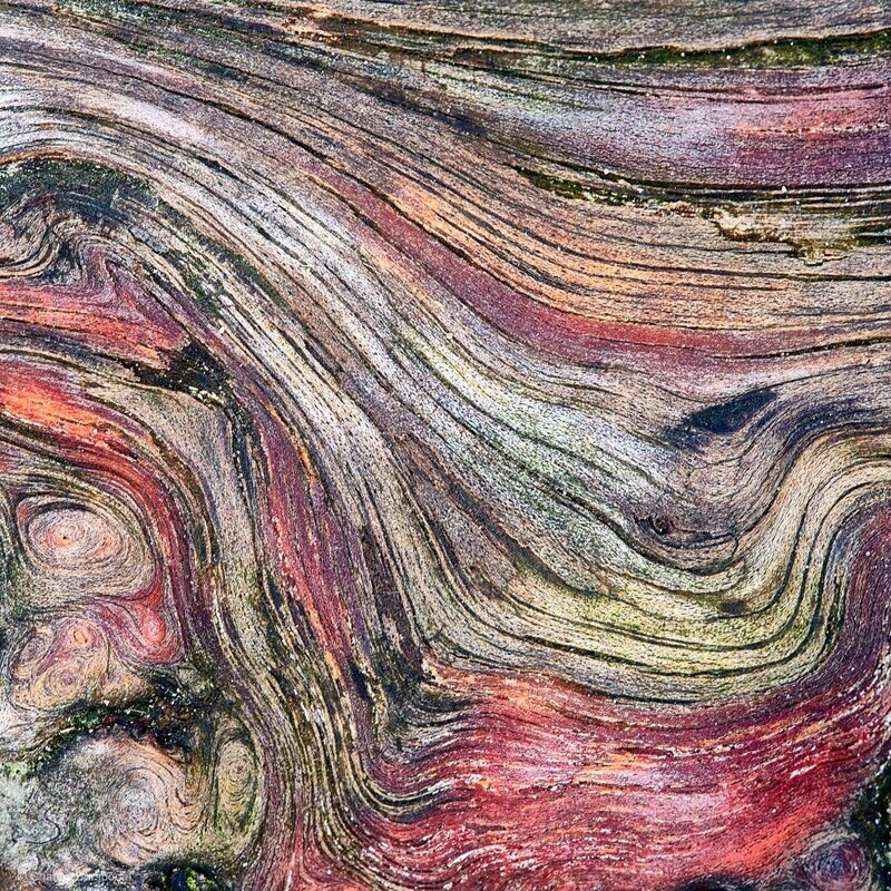 Abstracte natuurfotografie (1 juni 2024)