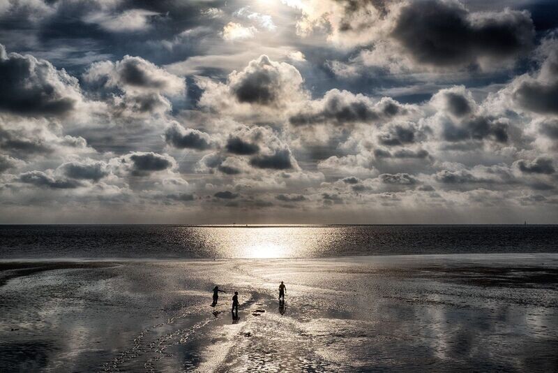 Midweek Oostelijke Waddenzee 5 dagen (23-27 september 2024)