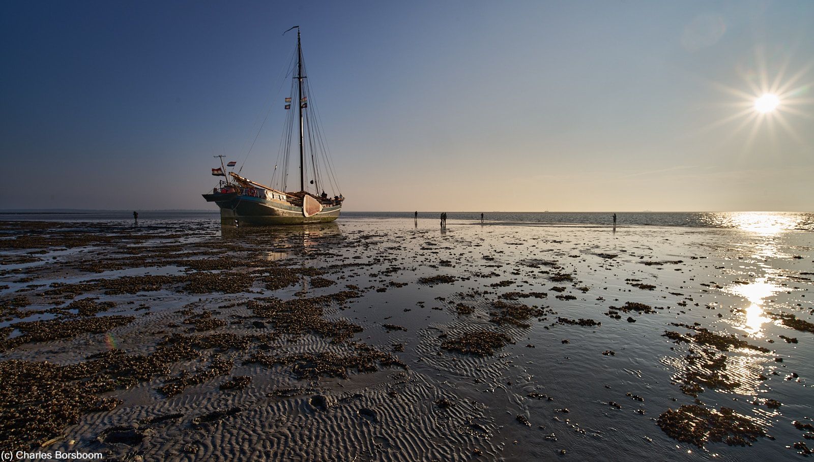 Midweek Oostelijke Waddenzee 5 dagen (4 - 8 mei 2026)