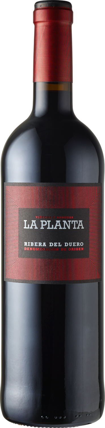 La Planta, Bodega Arzuaga, Ribera del Duero D. O.
