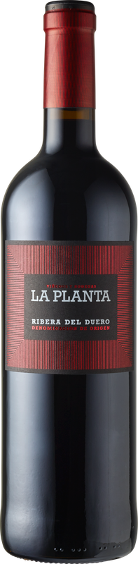 La Planta, Bodega Arzuaga, Ribera del Duero D. O. La Planta, Bodega Arzuaga, Ribera del Duero D. O.