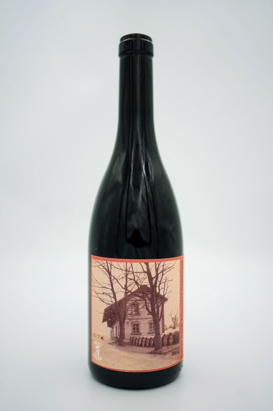 Pinot Noir Zweigelt Barrique (36 Monate)