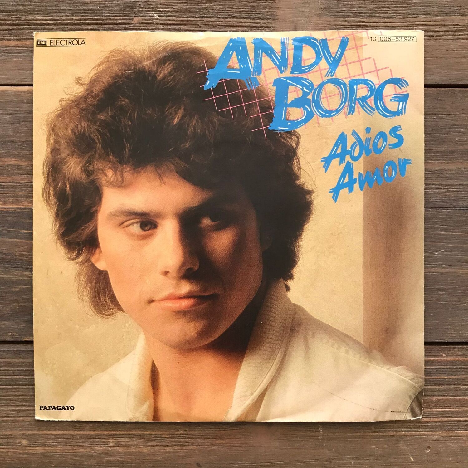 Vinyl-Schallplatte