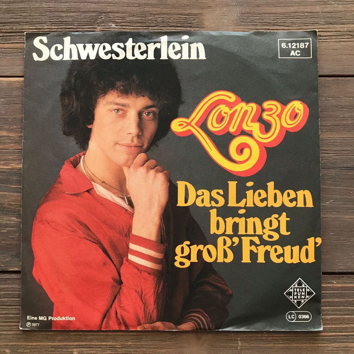 Vinyl-Schallplatte