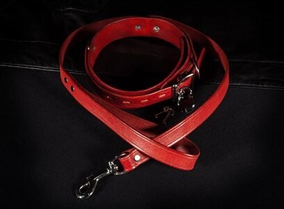 CCCL1 collar only CCCL1 collar only