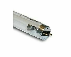 Phillips Lamp 11w