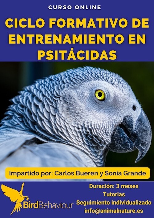 Ciclo Formativo de Entrenamiento de Loros - ONLINE