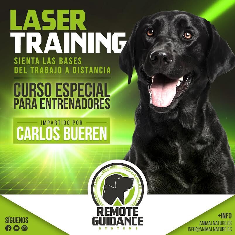 Curso Online - Laser Training