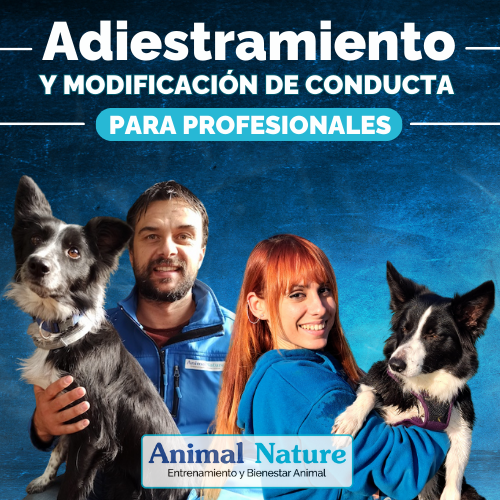 Curso de adiestramiento canino para profesionales.