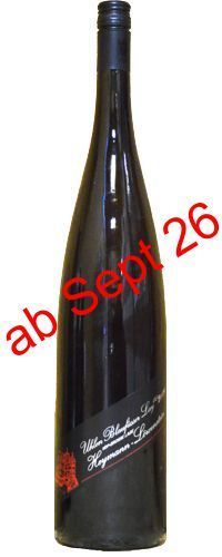 2024 Uhlen Blaufüsser Lay GG