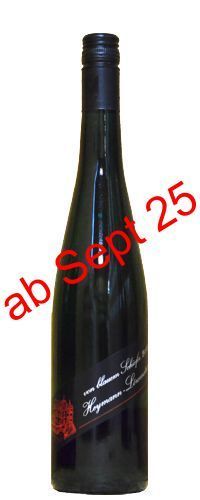 2024 von blauem Schiefer