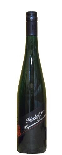 2023 Stolzenberg GG 2023 Stolzenberg GG