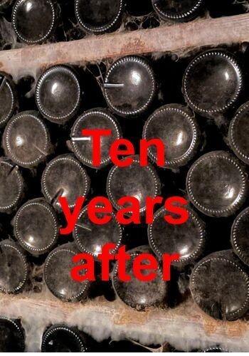 Ten years after - Die große Kommentierte Probe des Jahrgangs 2016  am 20. Juni  um 14:30 - Teilnahmegebühr 55.- EUR