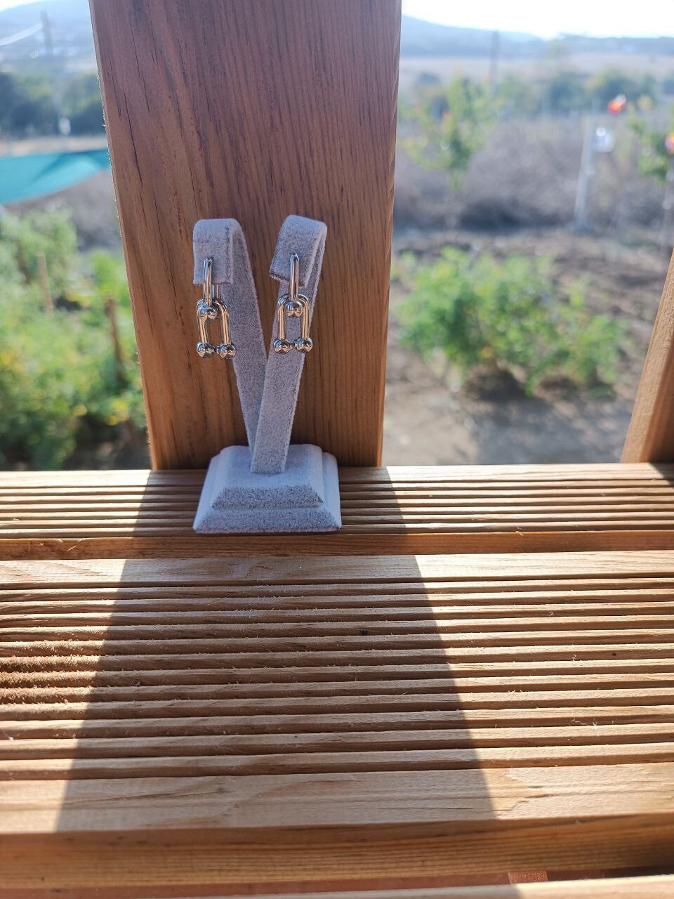 Earrings