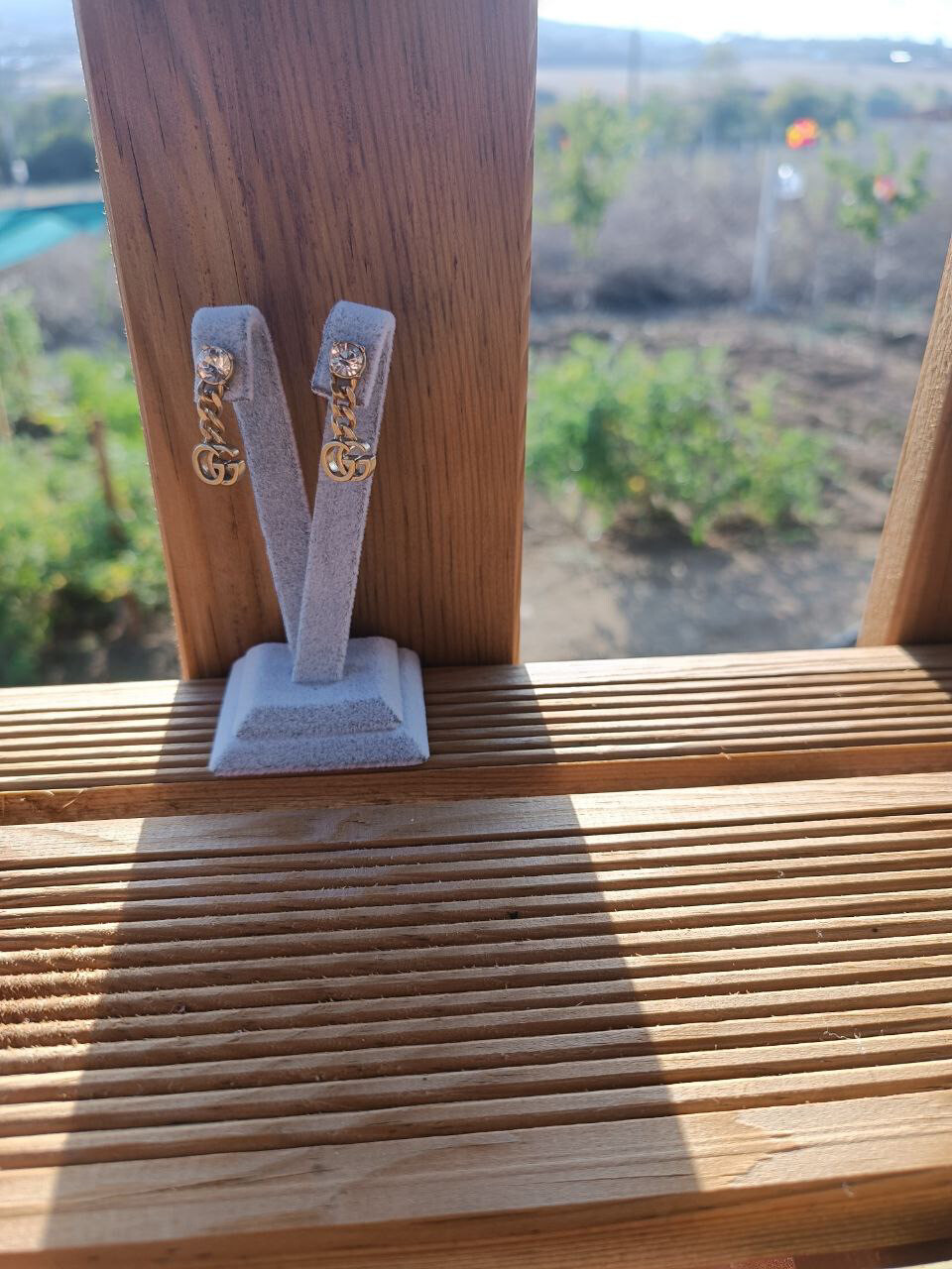 Earrings