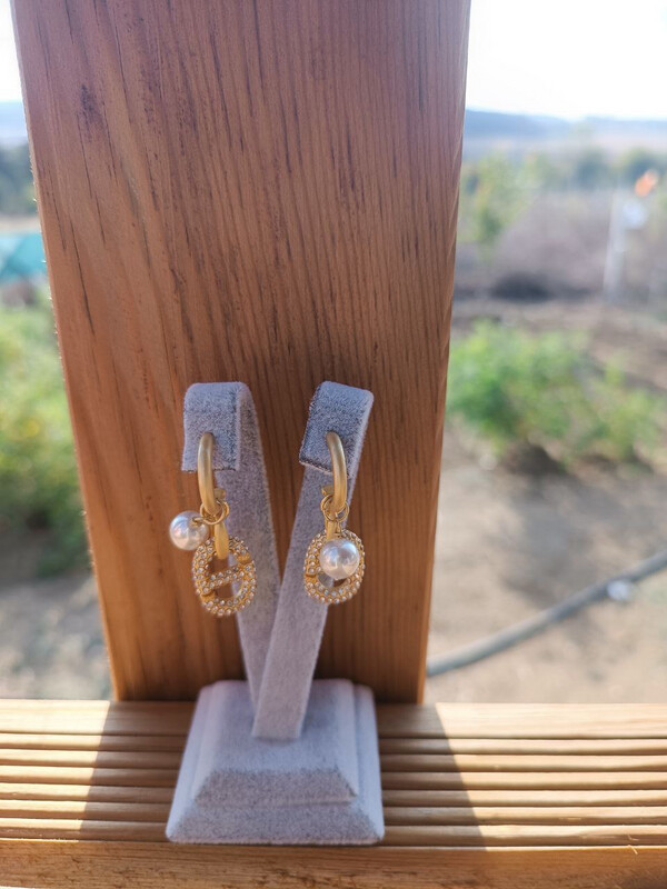 Earrings