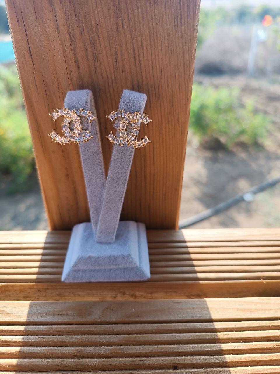 Earrings