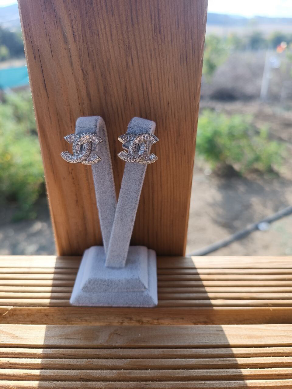 Earrings