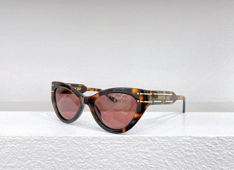 Sunglases