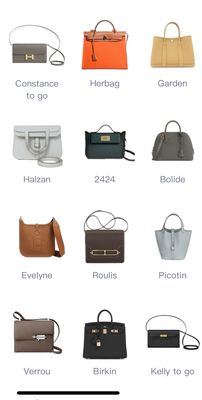 Hermes Bags