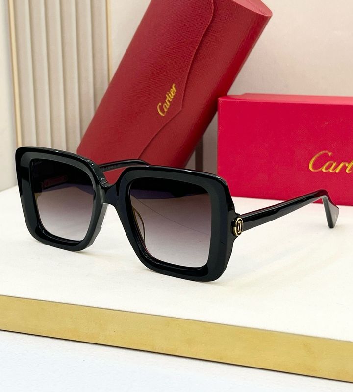 Sunglases
