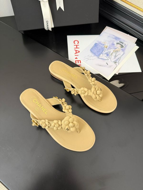 CNL Slides