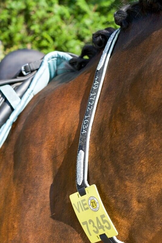 Kalino-Designer-Halsriemen für Reitkennzeichen aus Gurtband 2-seitig bestickt mit Softshell-Stoff gepolstert ab